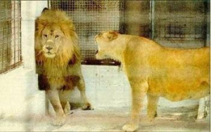 During Marriage